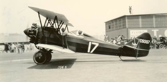 Swallow NC6097
